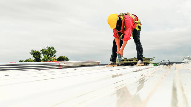 Best Roof Coating and Sealing  in Orwell, OH