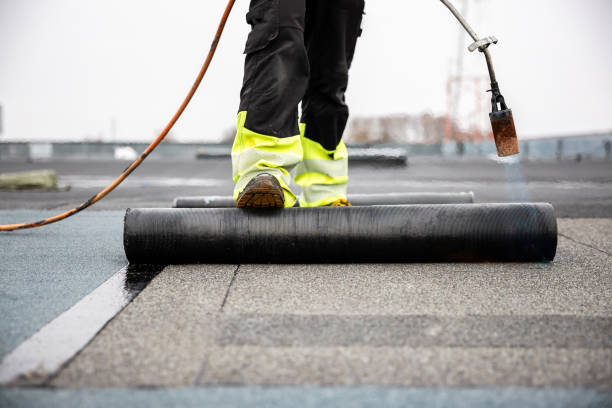 Best Asphalt Shingle Roofing  in Orwell, OH